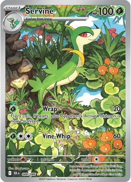 Near Mint 2025 Pokemon Servine Illustration Rare – Black Bolt #088/086