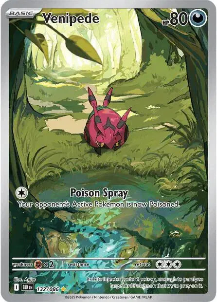 Near Mint 2025 Pokemon Venipede Illustration Rare – Black Bolt #132/086
