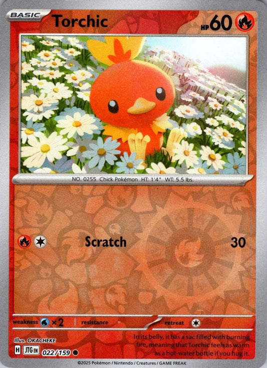 Torchic Reverse Holofoil