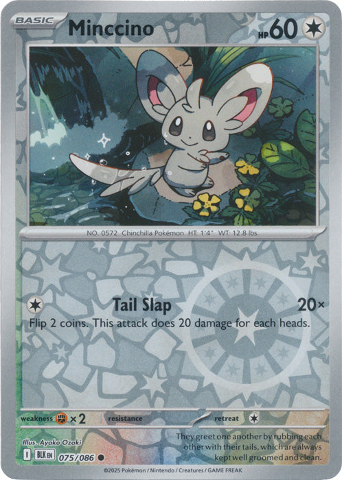 Near Mint 2025 Pokemon  Minccino Reverse Holo - Black Bolt #075/086