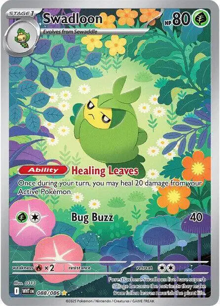 Swadloon Illustration Rare