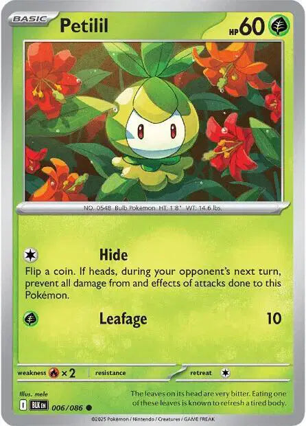 Near Mint 2025 Pokémon Petilil – Black Bolt #006/086 | Basic Grass-Type TCG Card