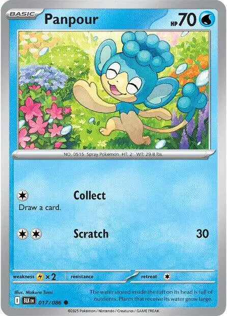Near Mint 2025 Pokemon Panpour Reverse Holo - Black Bolt #017/086