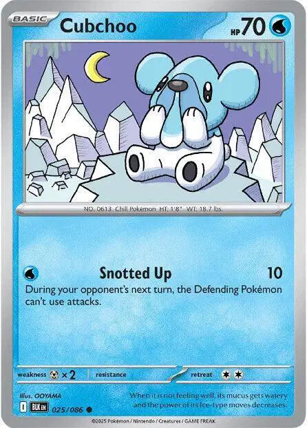 Near Mint 2025 Pokemon Cubchoo Reverse Holo - Black Bolt #025/086