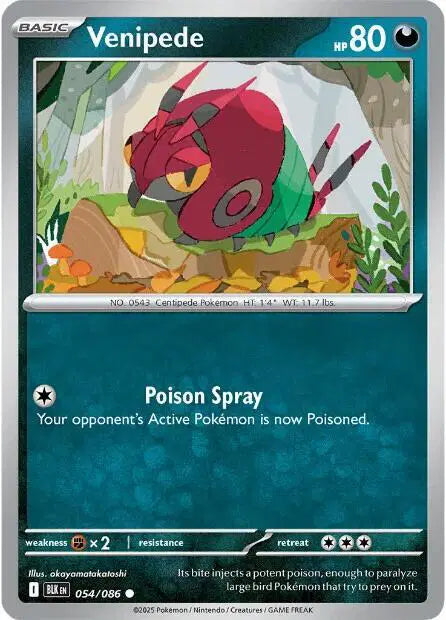 Near Mint 2025 Pokemon Venipede - Black Bolt #054/086