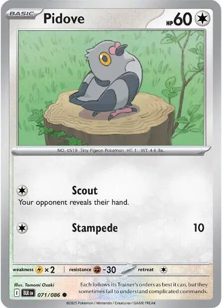 Near Mint 2025 Pokemon Pidove - Black Bolt #071/086