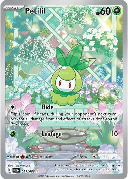 Near Mint 2025 Pokemon Petilil Illustration Rare – Black Bolt #091/086