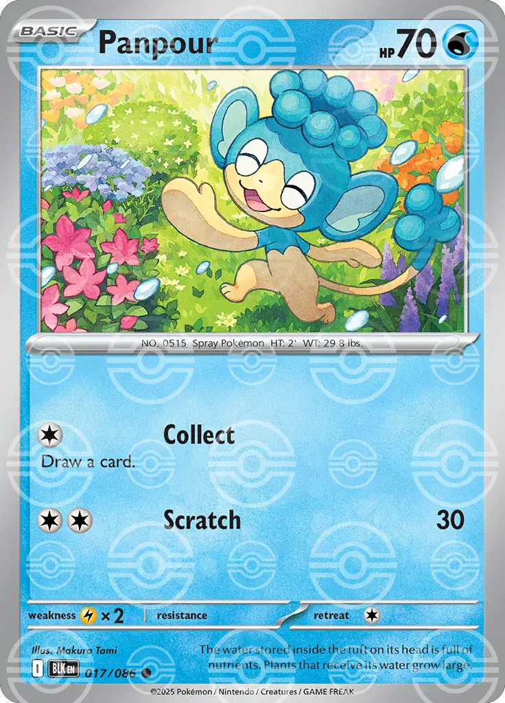 Near Mint 2025 Pokémon Panpour (Poke Ball Pattern) – Black Bolt #017/086 | Basic Water-Type TCG Card