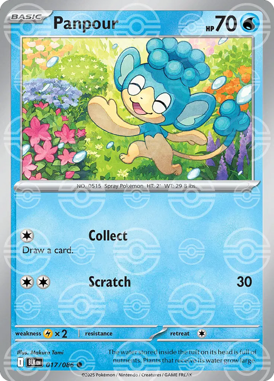 Near Mint 2025 Pokémon Panpour (Poke Ball Pattern) – Black Bolt #017/086 | Basic Water-Type TCG Card