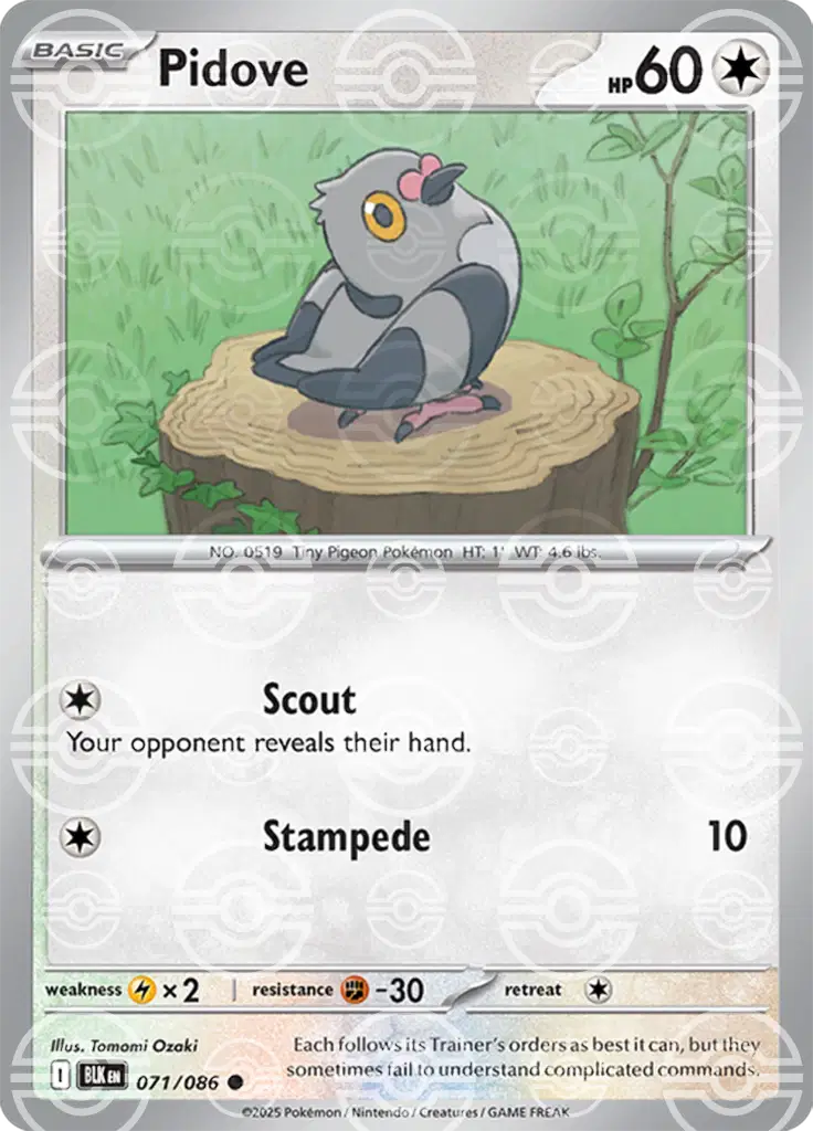 Near Mint 2025 Pokémon Pidove (Poké Ball Pattern) – Black Bolt #071/086