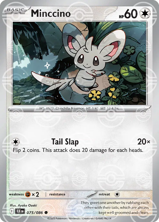 Minccino (Poke Ball Pattern)